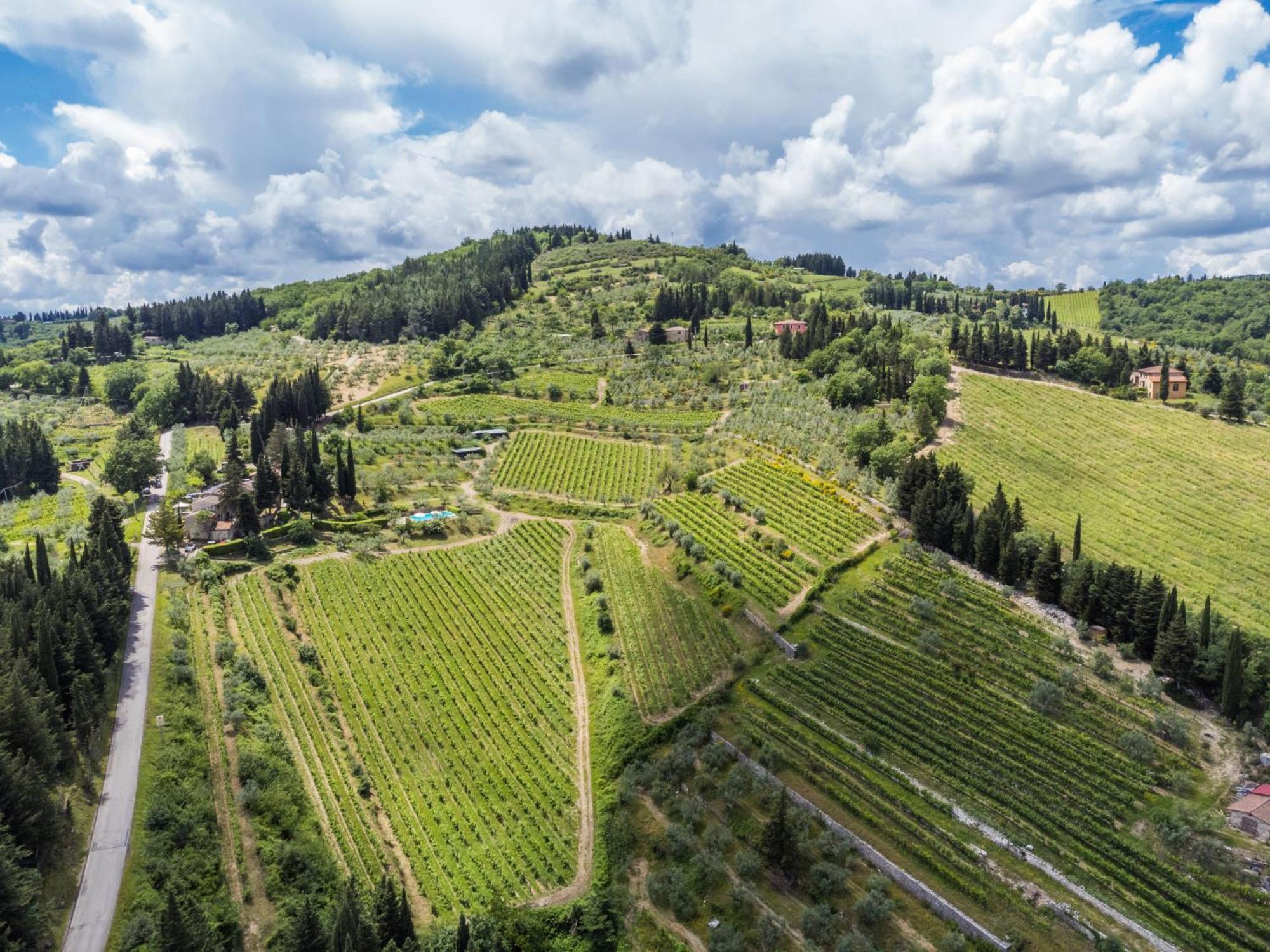 Holiday Home San Rocco-1 By Interhome Greve in Chianti Eksteriør billede